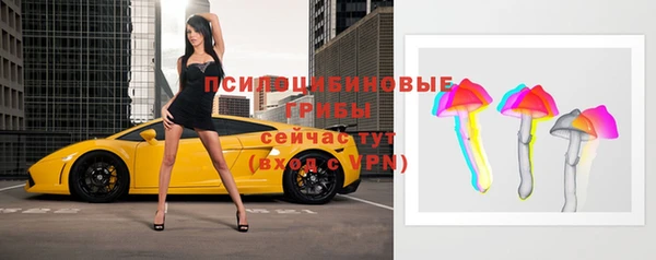 мяу мяу мука Надым
