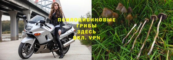 сатива Навашино