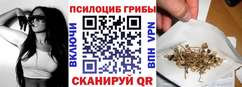 Псилоцибиновые грибы Cubensis  сколько стоит  Приволжск 